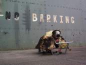 Barking Mad!